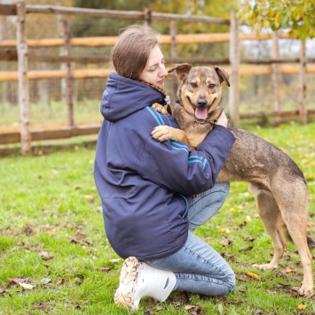 Собаки в добрые руки - Рэй - 3