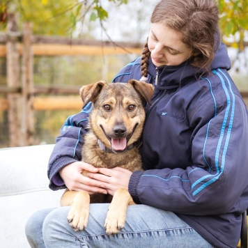 Собаки в добрые руки - Рэй - 4