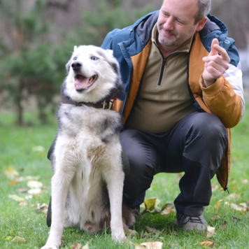 Собаки в добрые руки - Акира - 1