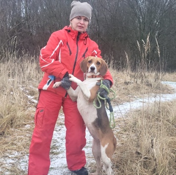 Айя - Собаки в добрые руки