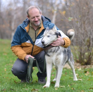 Собаки в добрые руки - Акира - 1