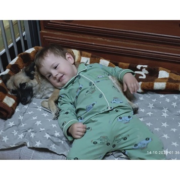 Собаки в добрые руки - Фенечка - 3