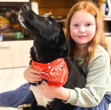 Собаки в добрые руки - Стелла - 4