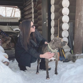 Собаки в добрые руки - Сара - 3