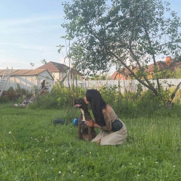 Собаки в добрые руки - Сара - 4