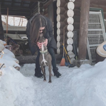 Собаки в добрые руки - Нора - 4