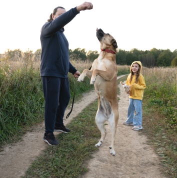 Собаки в добрые руки - Плюша - 2
