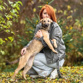 Собаки в добрые руки - Ника - 1