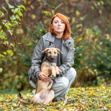 Собаки в добрые руки - Ника - 2