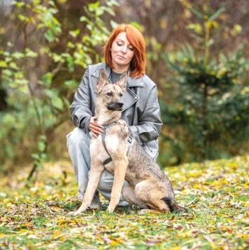 Собаки в добрые руки - Ева - 2