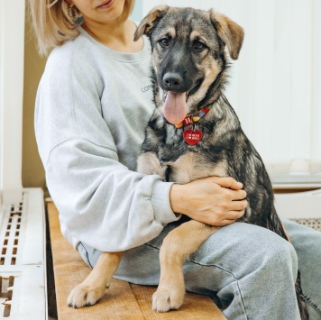 Собаки в добрые руки - Кексик - 1