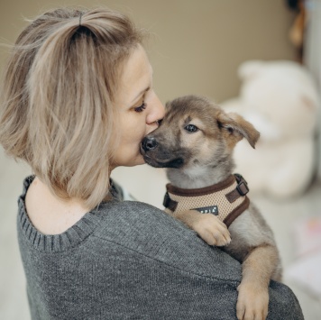 Собаки в добрые руки - Арик - 1