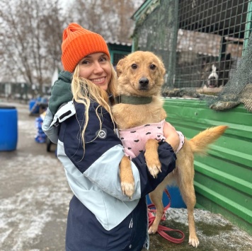 Собаки в добрые руки - Золла - 1