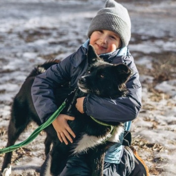 Собаки в добрые руки - Мишель - 1