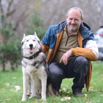 Собаки в добрые руки - Акира - 1