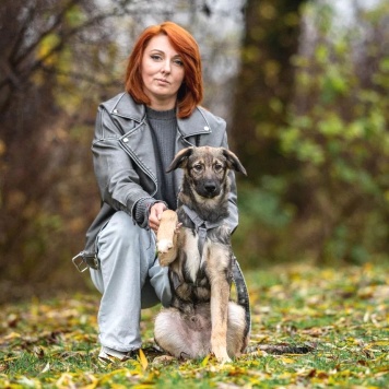 Собаки в добрые руки - Груня - 2