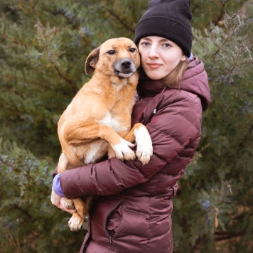 Собаки в добрые руки - Лёша - 1