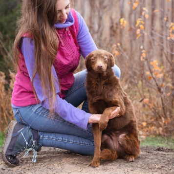 Собаки в добрые руки - Малышка - 2