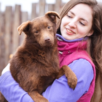 Собаки в добрые руки - Малышка - 3