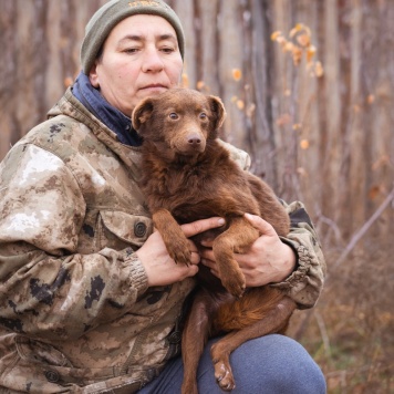 Собаки в добрые руки - Малышка - 4