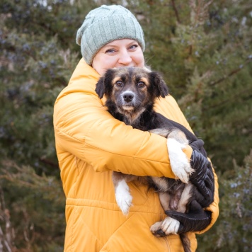 Собаки в добрые руки - Муха - 1