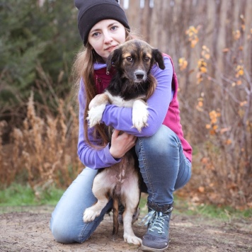 Собаки в добрые руки - Муха - 3