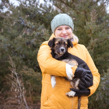 Собаки в добрые руки - Муха - 4