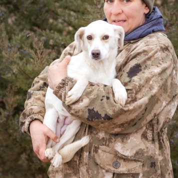 Собаки в добрые руки - Белка - 4