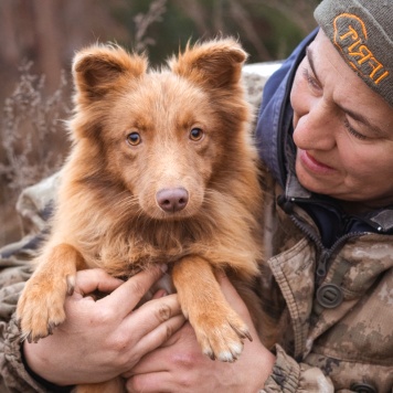 Собаки в добрые руки - Андрюша