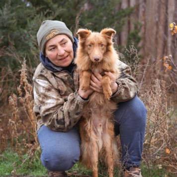 Собаки в добрые руки - Андрюша - 1