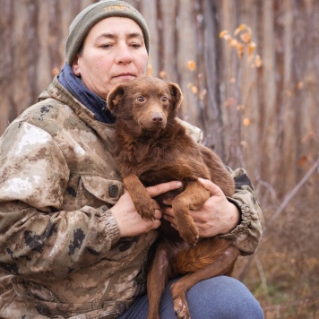 Собаки в добрые руки - Медведка