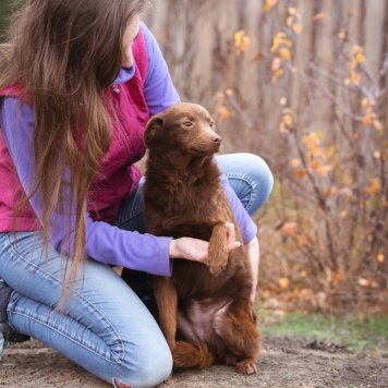 Собаки в добрые руки - Медведка - 1