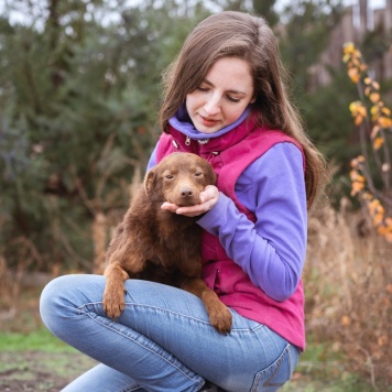 Собаки в добрые руки - Медведка - 2