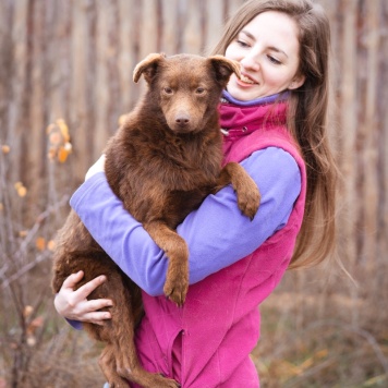 Собаки в добрые руки - Медведка - 3