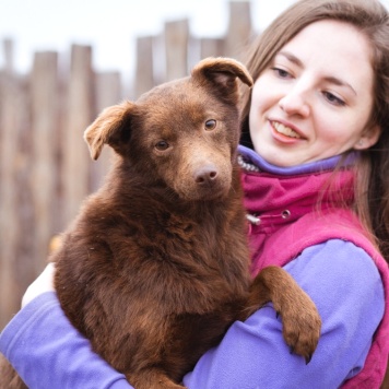 Собаки в добрые руки - Медведка - 1