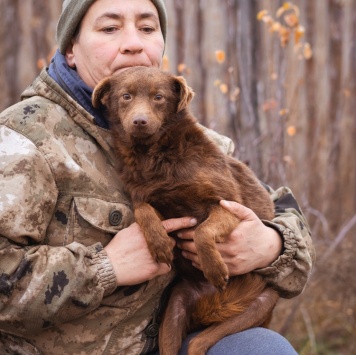 Собаки в добрые руки - Медведка - 2