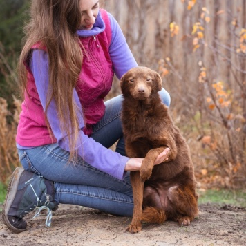 Собаки в добрые руки - Медведка - 3