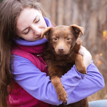 Собаки в добрые руки - Медведка - 4