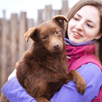 Собаки в добрые руки - Медведка