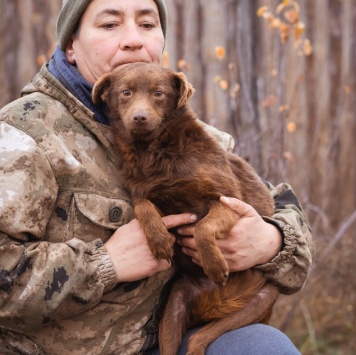 Собаки в добрые руки - Медведка - 1