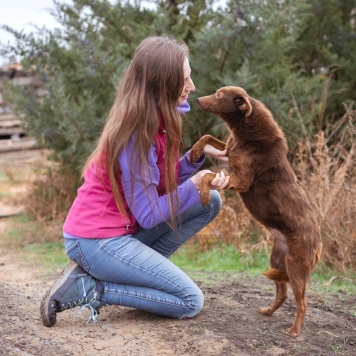 Собаки в добрые руки - Медведка - 4
