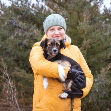 Собаки в добрые руки - Муха