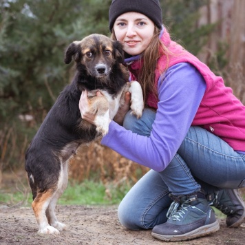 Собаки в добрые руки - Муха - 3