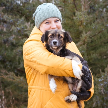 Собаки в добрые руки - Муха - 1