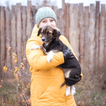 Собаки в добрые руки - Муха - 2