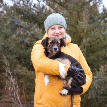 Собаки в добрые руки - Муха - 4