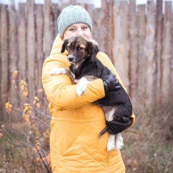 Собаки в добрые руки - Муха