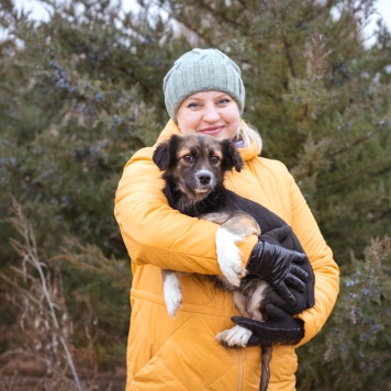 Собаки в добрые руки - Муха - 1