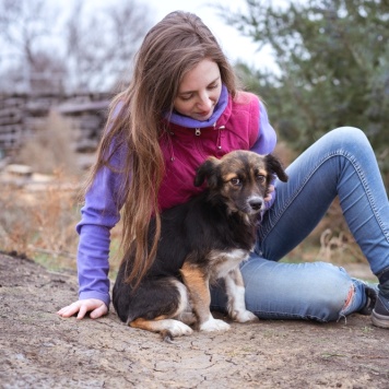 Собаки в добрые руки - Муха - 3