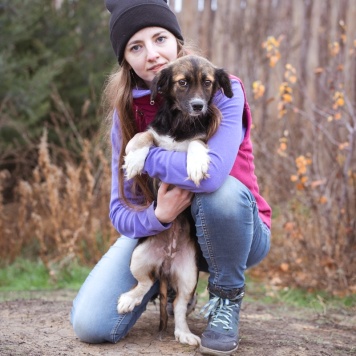 Собаки в добрые руки - Муха - 4